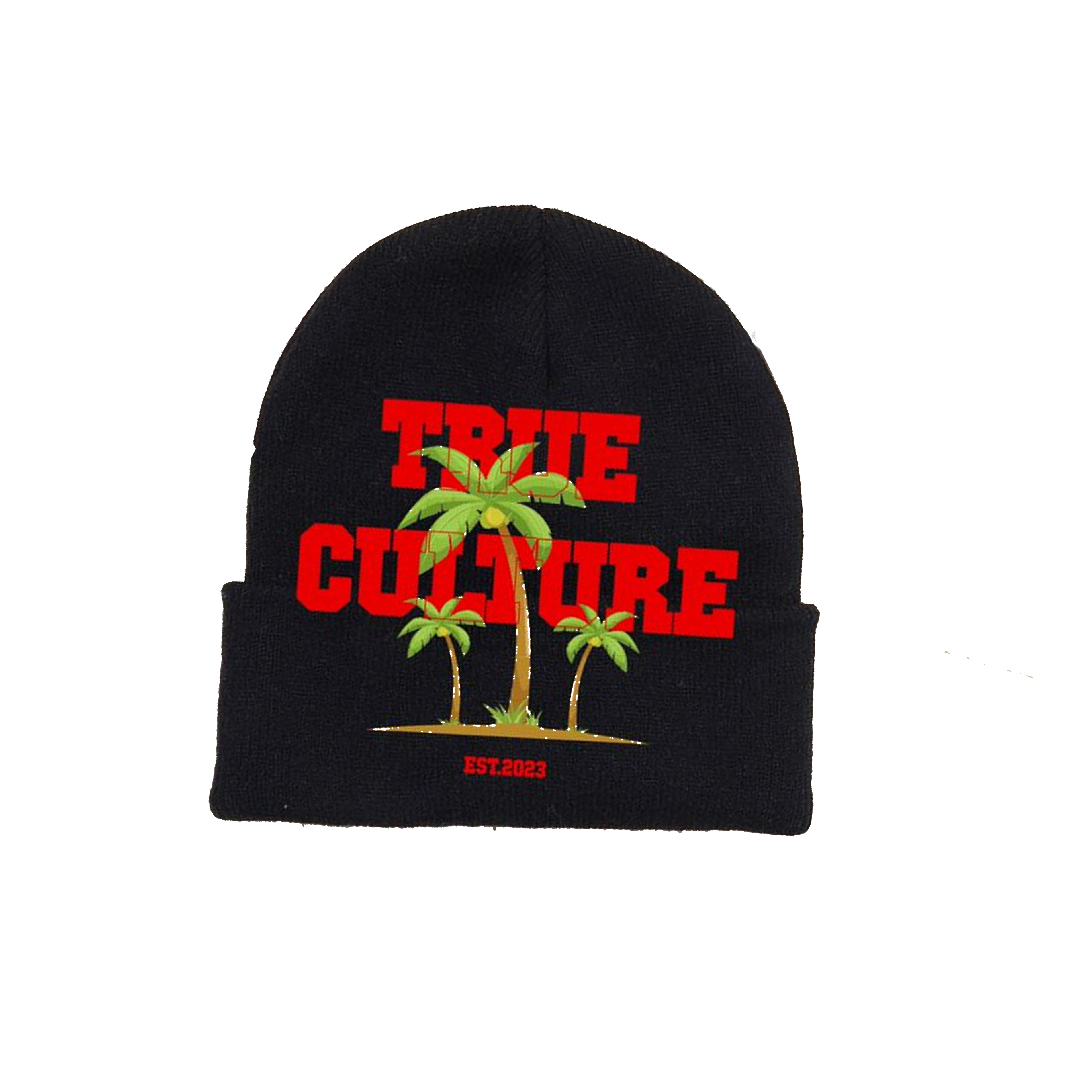 TC head Beanie